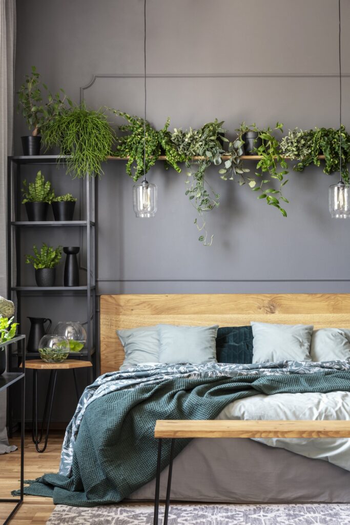 plant above wooden bed with green blanket in grey NM75YEC